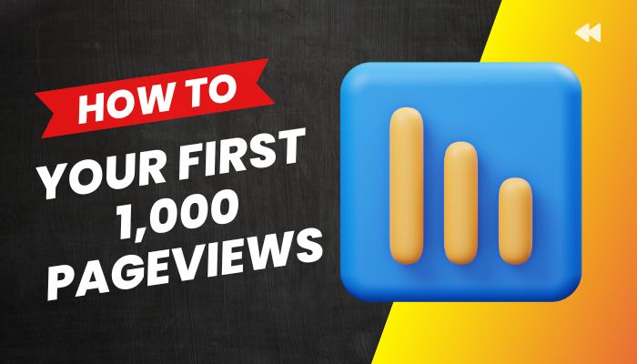 How to Get Your First 1,000 Pageviews: Tips for Beginners