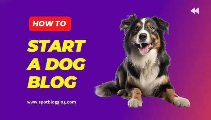 How to Start a Dog Blog